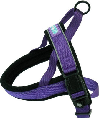 Dog Co Nylon Norwegian Harness Reflective Purple Sml from B&Q