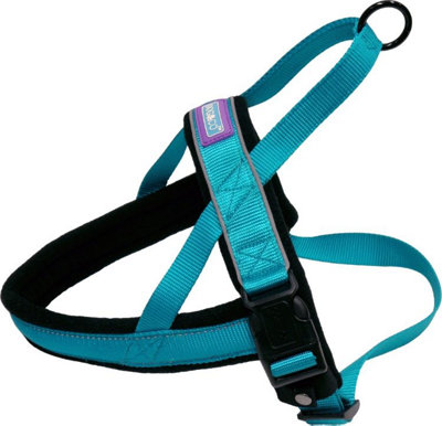 Dog Co Nylon Norwegian Harness Reflective Aqua Lge from B&Q