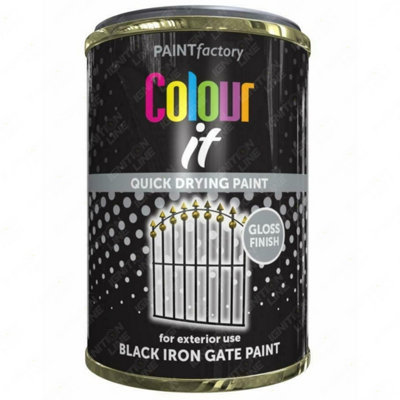 Paint Factory Paintfactory Black Iron Gate Paint Tin 300Ml from B&Q