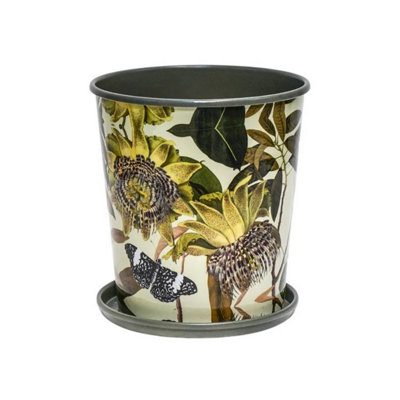 Ivyline Kew Botanical Retreat Planter With SaucerMild SteelL16 X W16 X H18 CmGreen from B&Q