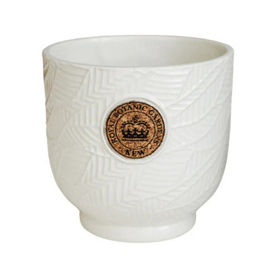Ivyline Ivory Kew Leaf Embossed Cork Planter - Ceramic - L18 X W18 X H18 Cm 1.5Kg