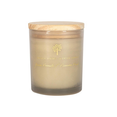 Nicola Spring Soy Wax Scented Candle - 130G - Pomelo & Passion Fruit Green