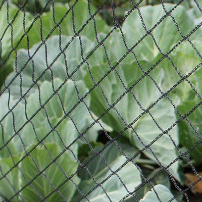 Gardening Naturally Black Bird Netting 2M X 10MPack from B&Q