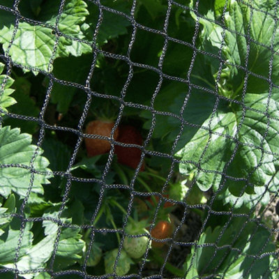 Gardening Naturally Black Bird Netting 4M X 10MPack from B&Q