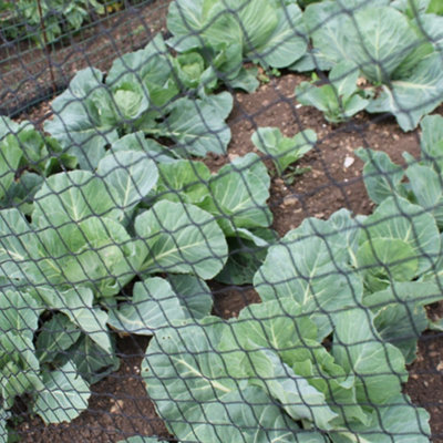 Gardening Naturally Black Bird Netting 6M X 10MPack from B&Q