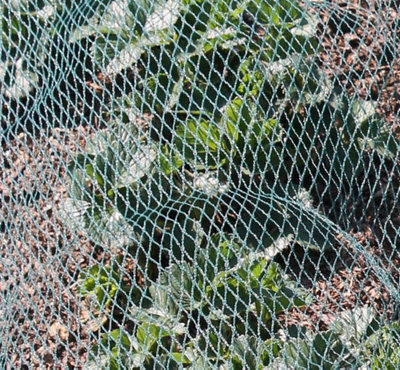 Gardening Naturally Green Bird Netting 6 X 10MPack from B&Q