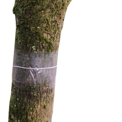 Glue Bands For Fruit Trees Clear Bands - 2 Pieces - 1M Long X 14.5Cm Wide With String Gardening Naturally - Image 4