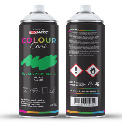 Promatic Colour Coat Eucalyptus Ral 6037 Gloss 1K Acrylic Paint 400Ml from B&Q