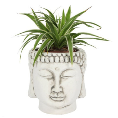 Something Different White Terracotta Buddha Head Planter B&Q