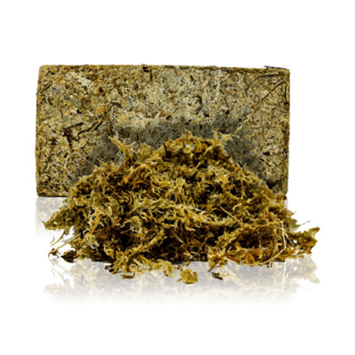 Swell Reptiles Terrarium Moss Natural from B&Q