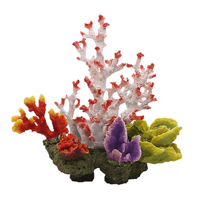 Swell Artificial Small Coral Reef Set from B&Q