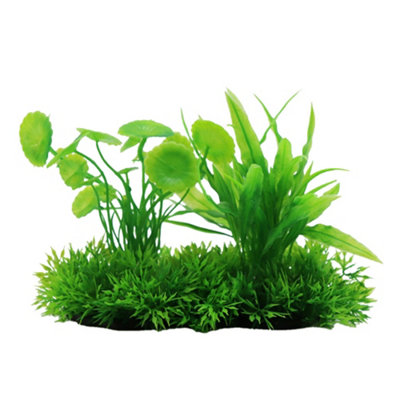 Swell Hydrocotyle & Echinodorus Combination Artificial Plant from B&Q