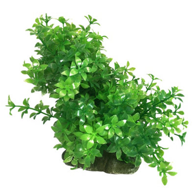 Swell Green Trailing Leaves Artificial PlantSmall from B&Q