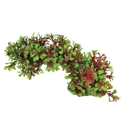 Swell Green & Red Trailing Leaves Artificial Plant from B&Q