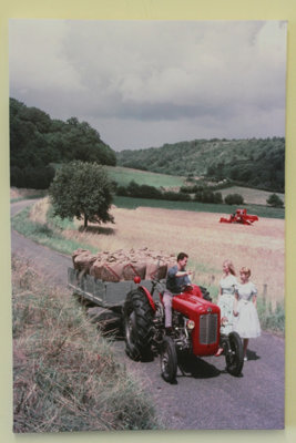 Garden Market Place Massey Ferguson Mf35 Tractor And Trailer Canvas Picture Print from B&Q