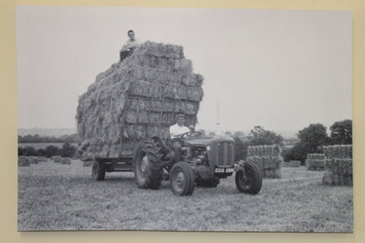 Garden Market Place Massey Ferguson Mf35 Tractor With A Trailer Of Straw Canvas Picture Print from B&Q