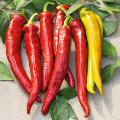 Marshalls Garden Chilli Pepper Seeds 'longhorn' F1 6 Seeds from B&Q