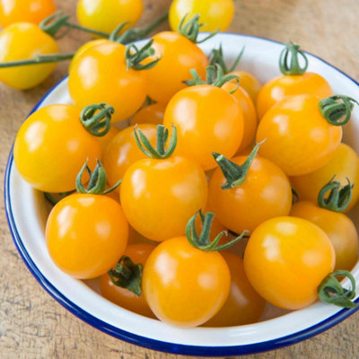 Marshalls Garden Tomato Seeds Yellow Mimi F1 10 Pack Cordon Variety from B&Q