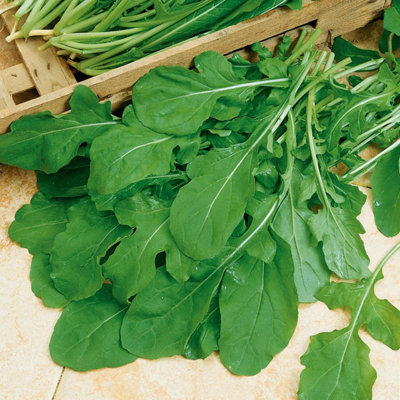 Marshalls Garden Rocket Seeds 'scorpion' 3,000 Pack  Fast-Growing Eruca Sativa For Salads from B&Q