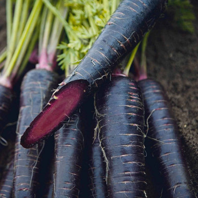 Marshalls Garden Carrot Seeds 'deep Purple' 300 Seeds For Home Gardens from B&Q