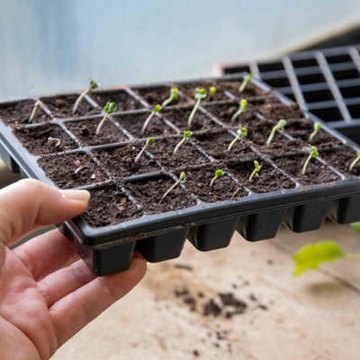 Marshalls Garden 12 X 24-Cell Seed TraysBlack Reusable Plastic Fits Propagator from B&Q