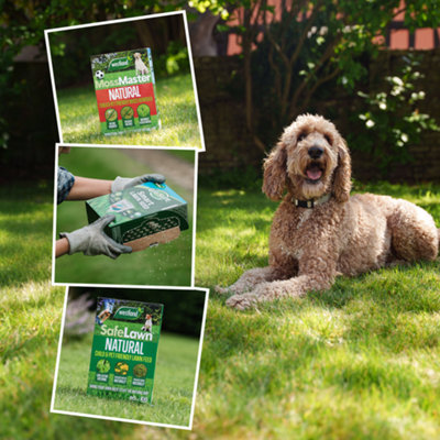 Westland Natural Lawncare BundleMoss MasterSafelawn FeedGro-Sure Smart SeedFast Start Option 80 Sqm from B&Q
