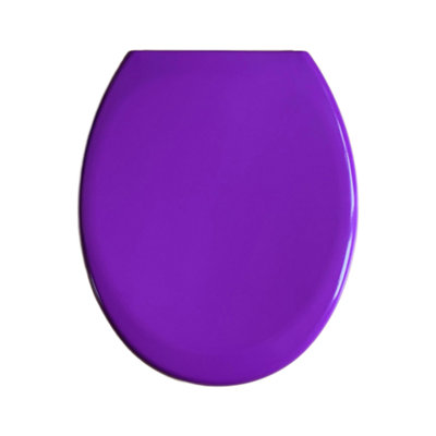 Rts Purple Top Fix Soft Close Quick Release Toilet Seat from B&Q
