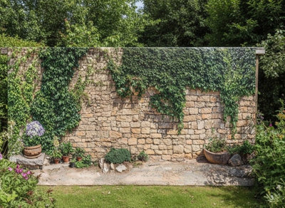 Mural Gardens Rustic Ivy Stone Wall Mural Waterproof Outdoor Tapestry Walled Garden Backdrop Fence Decor Panel W400Cm H180Cm from B&Q