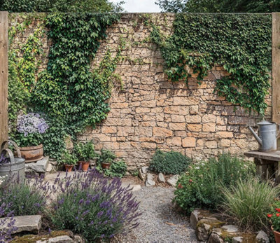 Mural Gardens Rustic Ivy Stone Wall Garden Mural Curtain Waterproof Outdoor Tapestry Walled Garden Backdrop Fence Decor Panel W300Cm H180Cm from B&Q