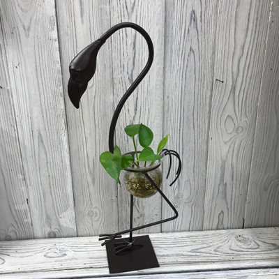 Serenityy Hydroponic Home Décor Tall Flamingo Pot StandRecycled MetalGlass & WoodBlackSingle Pack from B&Q