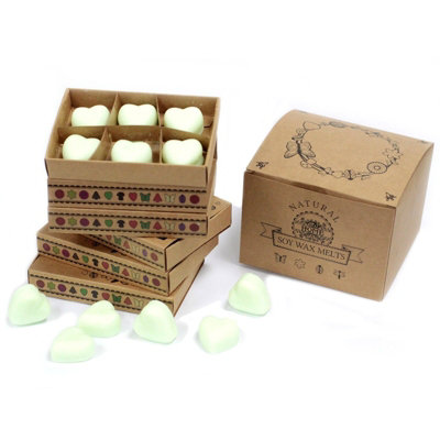 B&Q -  Box Of 6 Natural Soy Wax MeltsWatermelon Fresh Fragrance130 GIndoorEco-Friendly Packaging