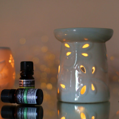 Serenityy Classic White Ceramic Oil Burner With Dragonfly DesignGloss FinishFor Fragrance Oils And Wax Melts1 Pack from B&Q