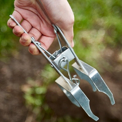 Primrose Pack Of 5 Professional Mole Metal Claw Trap from B&Q