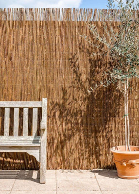 Primrose Willow Fence Screening Rolls Premium 4M X 1.8M from B&Q