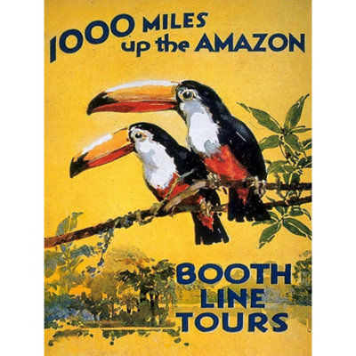 Artery8 Unframed Wall Art Toucan River Brazil South America Jungle Rain Forest Vintage12X16 Inch from B&Q