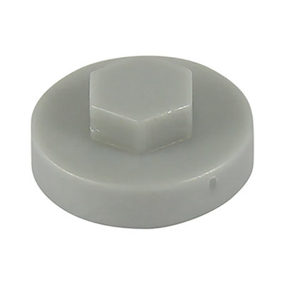 TimcoHex Head Screw CoversWhite (Size 16mm1000 Pieces) from B&Q
