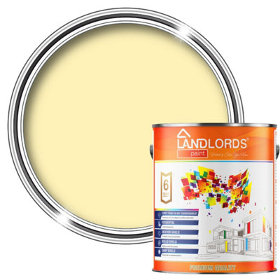 Landlords PaintAnti-Damp PaintDamp Proof Protection For Interior Walls & CeilingsLight Yellow1L from B&Q