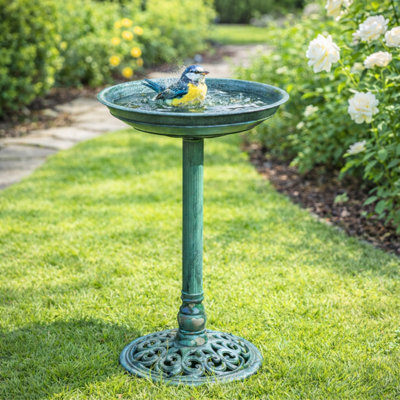 Shop Bird and wildlife supplies.