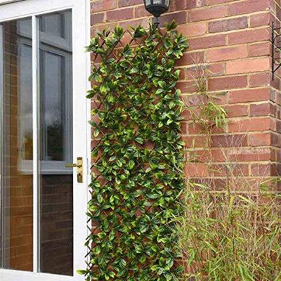 Marco Paul Lemon Leaf Topiary Trellis 180 X 60Cm Artificial Leaf Trellis from B&Q