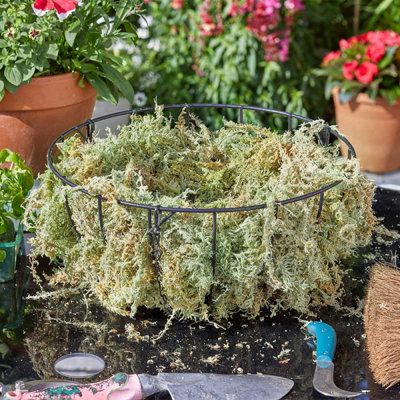Sphagnum Moss For Potted PlantsOrganic Moisturizing Nutrition Fertilizer from B&Q