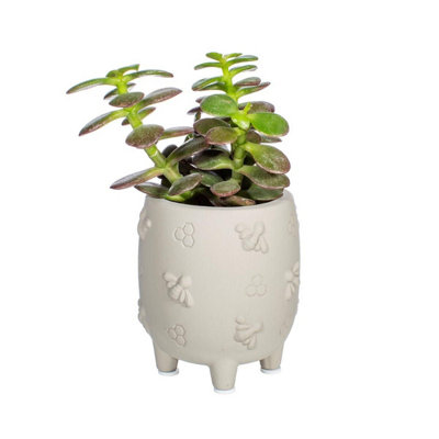 Sass & Belle Mini Cement Planter Pot Bees from B&Q