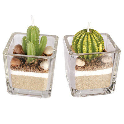 2 Piece Decorative Cactus Plant Candle Tea Light Candles In Glass Home Decor from B&Q