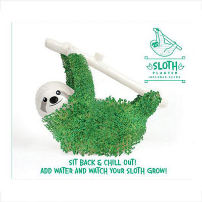 Sloth Planter Chia Seed Grow Kit from B&Q