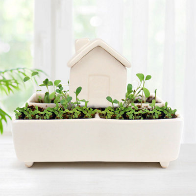 Self Watering Herb House Grow Kit from B&Q