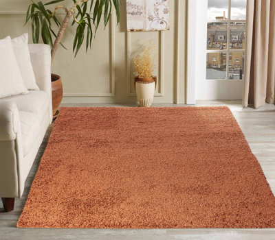 Desire Rugs Plain Living Room Shaggy Area Rugs Terracotta 160X230 Cm from B&Q