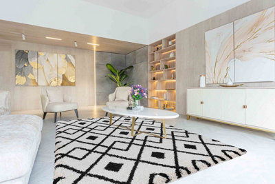  - Moroccan Berber Shaggy Rugs Living Room Ikat Stone 80X150 Cm