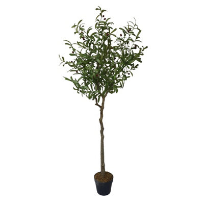 True Products Artificial Olive Tree 170Cm from B&Q