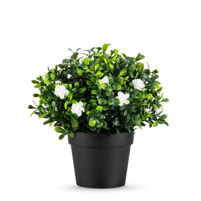 True Products Small Potted Jasmine Artificial Plant 22Cm from B&Q