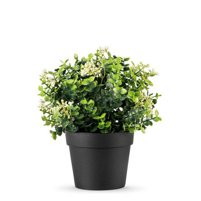 True Products Small Potted Mixed Eucalyptus Artificial Plant 22Cm from B&Q