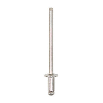 Timco Rivets Dome Head A2 Stainless Steel3.2 X 6 from B&Q